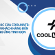 Mô hình D2C của Coolmate