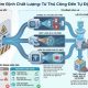 Các giải pháp ứng dụng công nghệ trong kiểm định chất lượng tối ưu nhất