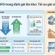 Nguyên tắc LOFO trong định giá tồn kho: Tối ưu giá vốn và tài chính