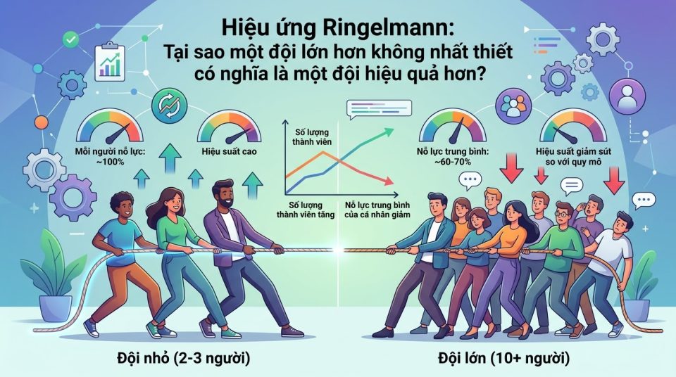 Hiệu ứng Ringelmann: Vì sao đội ngũ càng đông chưa chắc làm việc càng hiệu quả?
