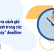 Stoicism và cách giữ cái đầu lạnh trong các dự án “cháy” deadline