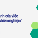 Sức mạnh của việc “Đi bộ chiêm nghiệm”