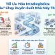 Các giải pháp tối ưu quy trình Intralogistics trong nhà máy hiệu quả