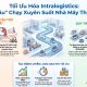 Các giải pháp tối ưu quy trình Intralogistics trong nhà máy hiệu quả
