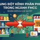 Channel conflict in FMCG