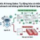 Agentic AI trong Sales: Tự động hóa cá nhân hóa Outreach mà không biến Email thành Spam