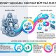 Tái cấu trúc bộ máy vận hành: Giải pháp bứt phá cho doanh nghiệp