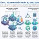 Giải pháp tối ưu hóa định biên nhân sự cho doanh nghiệp