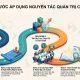 Quy trình áp dụng nguyên tắc quản trị công ty OECD
