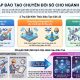 Giải pháp đào tạo chuyển đổi số cho công ty dầu khí