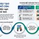 Đào tạo lãnh đạo kế cận cho doanh nghiệp và lộ trình thực thi bài bản