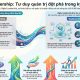 Digital Leadership là gì và vai trò cốt lõi trong doanh nghiệp