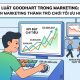 Goodhart’s Law trong Marketing: Khi KPI biến Marketing thành cuộc chơi tối ưu con số