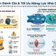 Phương pháp đánh giá năng lực nhà quản lý và lộ trình tối ưu hóa bộ máy