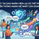 EGC là gì? Vì sao nhân viên có thể trở thành kênh truyền thông mạnh nhất của doanh nghiệp?