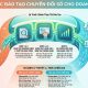 Khóa học đào tạo chuyển đổi số cho doanh nghiệp