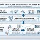 Kiến trúc Private 5G và IoT